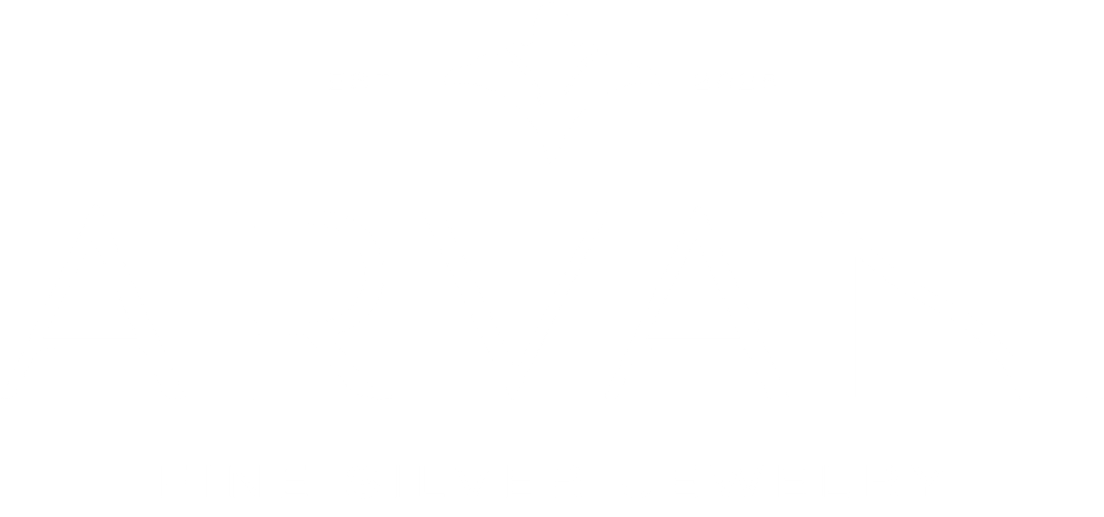 Arvani logo